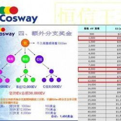太陽線直銷軟件專業定制開發全解析 從廠家選擇到價格評估